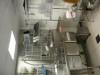 BK-Shopping-ABC-Plaza-7.JPG